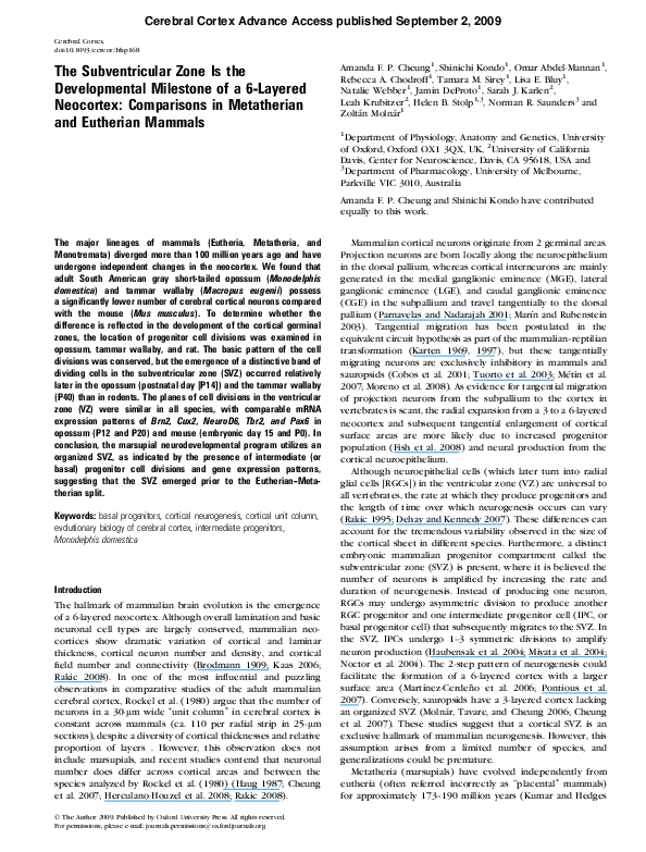 First page of “The Subventricular Zone Is the Developmental Milestone of a 6Layered Neocortex: Comparisons in Metatherian and Eutherian Mammals”