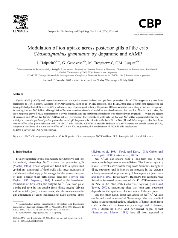 First page of “Modulation of ion uptake across posterior gills of the crab by dopamine and cAMP”