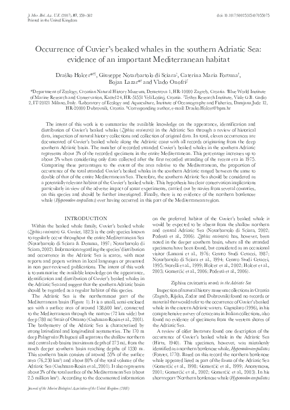 First page of “Occurrence of Cuvier's beaked whales in the southern Adriatic Sea: evidence of an important Mediterranean habitat”