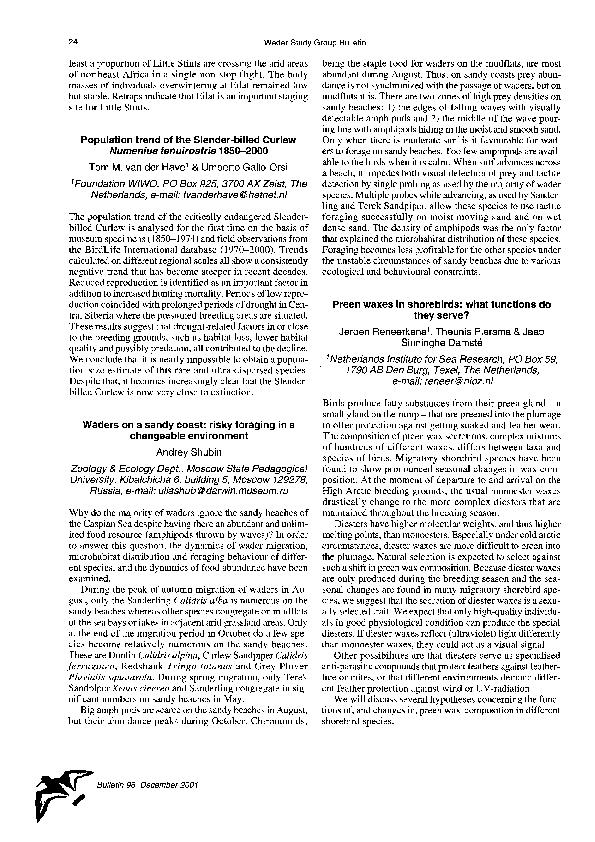 First page of “Population trend of the Slender-billed Curlew Numenius tenuirostris 1850-2000”