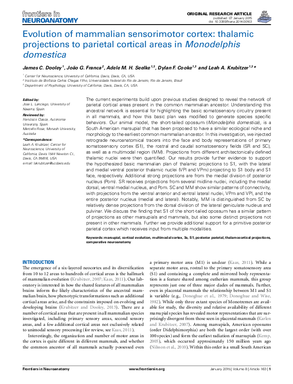 First page of “Evolution of mammalian sensorimotor cortex: thalamic projections to parietal cortical areas in Monodelphis domestica”