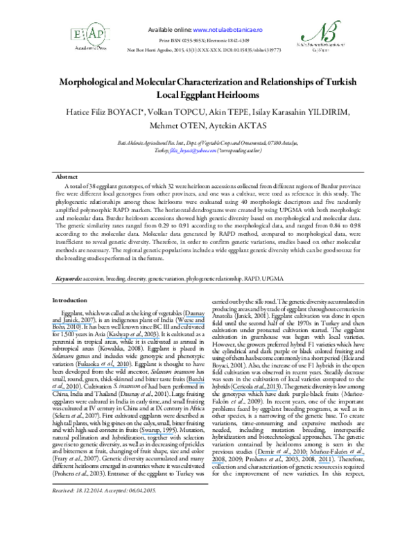 First page of “Morphological and molecular characterization of an equine isolate of Pythium insidiosum and comparison with the first human isolate from the same geographic region”