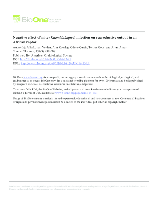 First page of “Negative effect of mite (Knemidokoptes) infection on reproductive output in an African raptor”