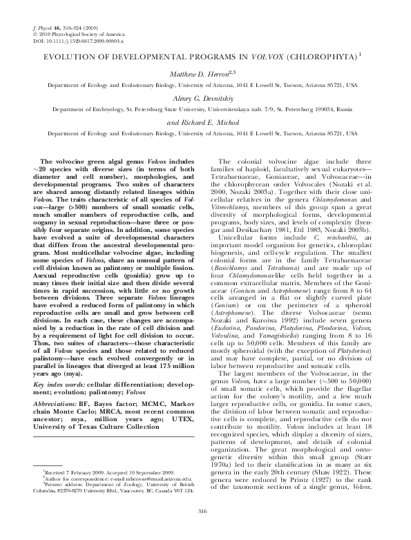 First page of “Evolution of developmental programs in Volvox (Chlorophyta)”