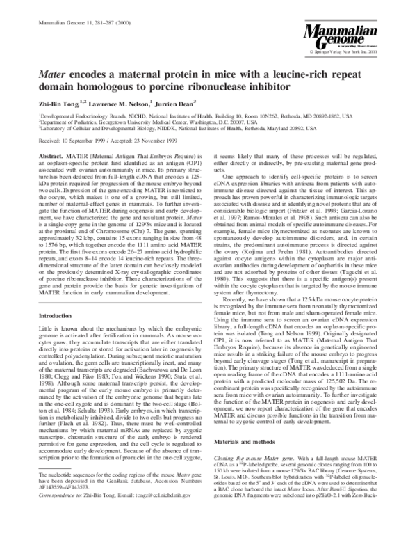 First page of “Mater encodes a maternal protein in mice with a leucine-rich repeat domain homologous to porcine ribonuclease inhibitor”