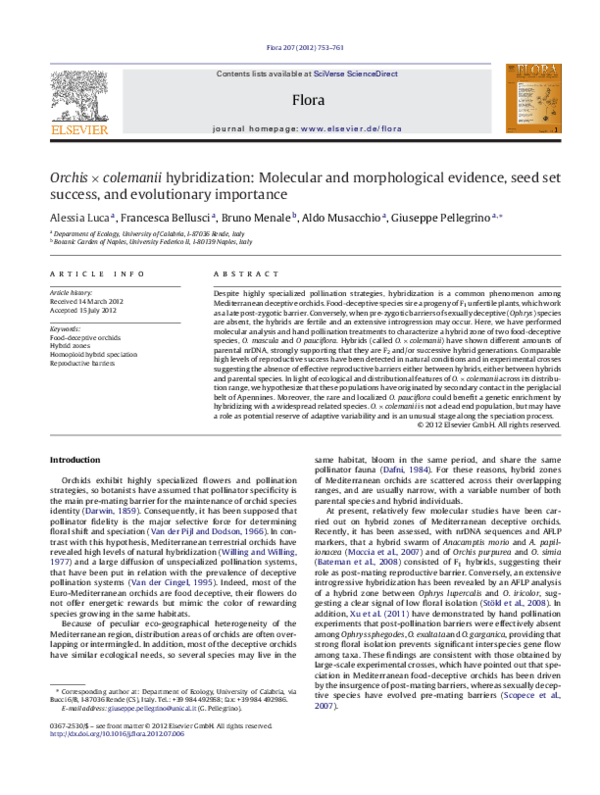 First page of “Orchis×colemanii hybridization: Molecular and morphological evidence, seed set success, and evolutionary importance”