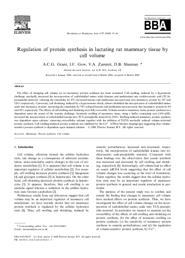 First page of “Regulation of protein synthesis in lactating rat mammary tissue by cell volume”