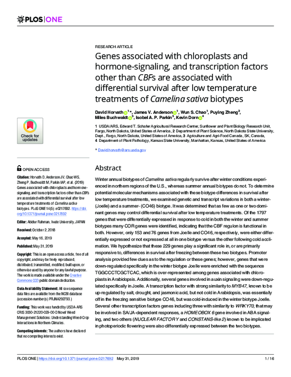 First page of “Genes associated with chloroplasts and hormone-signaling, and transcription factors other than CBFs are associated with differential survival after low temperature treatments of Camelina sativa biotypes”