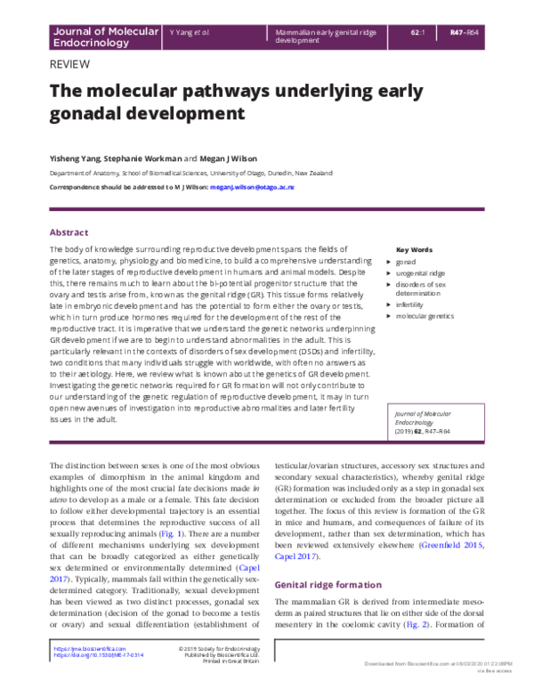 First page of “The molecular pathways underlying early gonadal development”