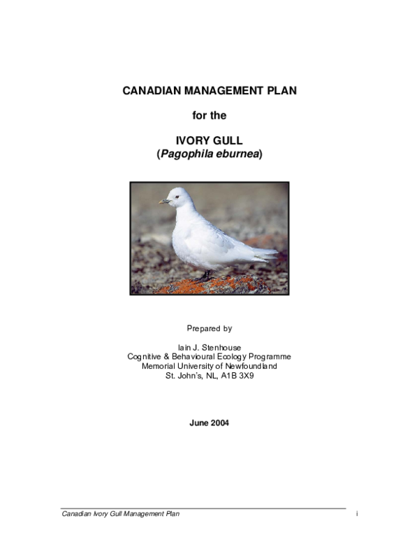 First page of “Canadian management plan for the Ivory Gull (Pagophila eburnea)”