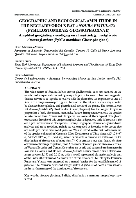 First page of “Geographic and Ecological Amplitude in the Nectarivorous Bat Anoura Fistulata (Pyhllostomidae: Glossophaginae)”