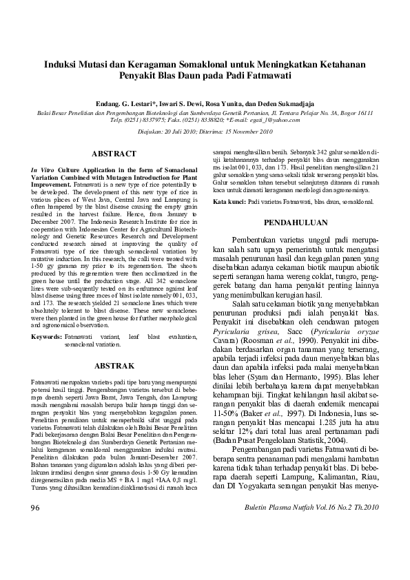 First page of “Induksi Mutasi dan Keragaman Somaklonal untuk Meningkatkan Ketahanan Penyakit Blas Daun pada Padi Fatmawati”