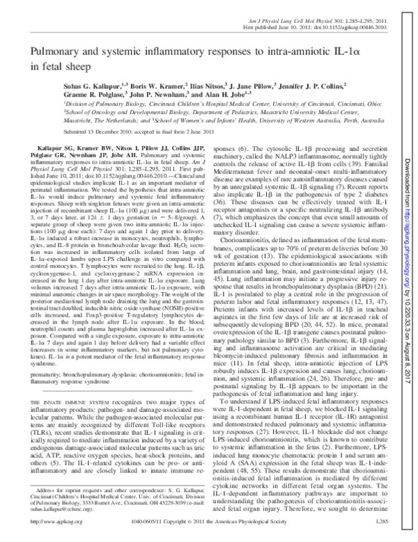 First page of “Pulmonary and systemic inflammatory responses to intra-amniotic IL-1  in fetal sheep”