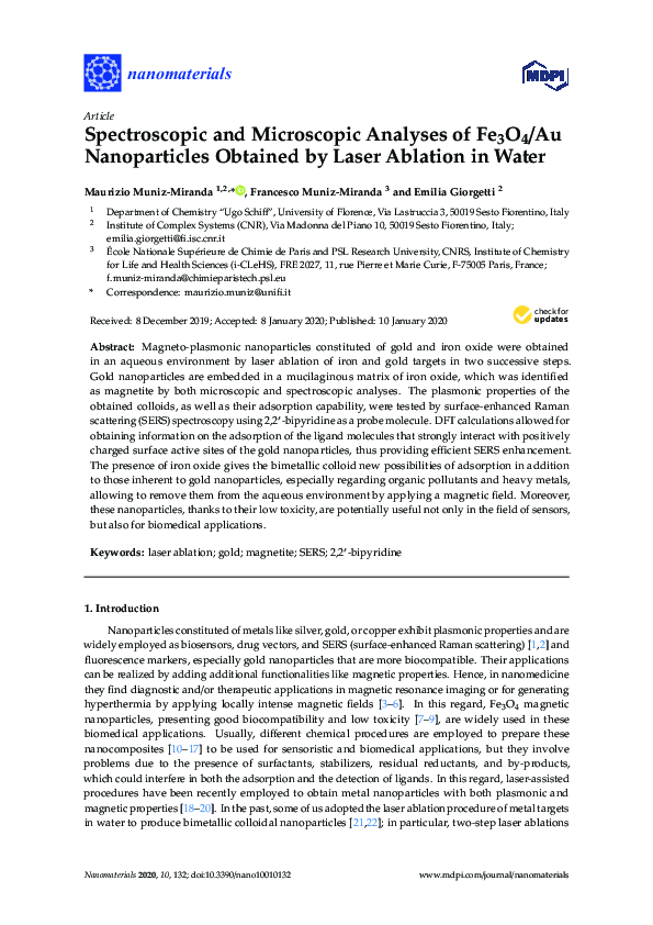 First page of “Spectroscopic and Microscopic Analyses of Fe3O4/Au Nanoparticles Obtained by Laser Ablation in Water”