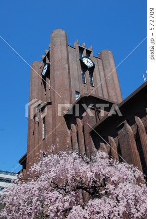 東大安田講堂と桜 572709