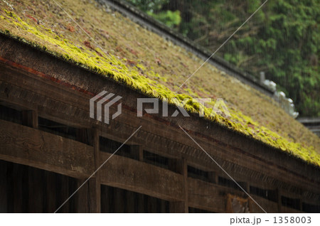 神社の苔むした屋根 1358003