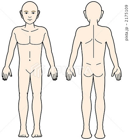 人体図 2175109