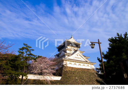 小倉城と満開の桜と青空と街灯 2737686