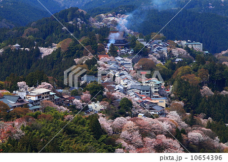 吉野山の桜満開 10654396