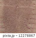 pink and brown crocodile leather texture 12278867