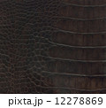 crocodile leather texture 12278869