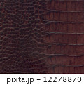 brown crocodile leather texture 12278870