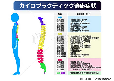 カイロプラクティック適応図 24040692