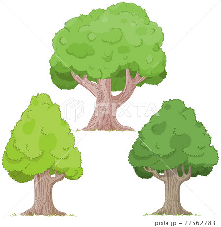 Tree Set 22562783