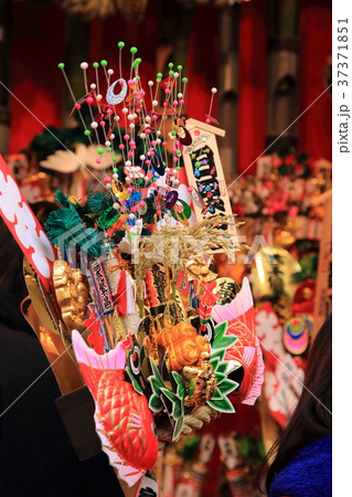 浅草　鷲（おおとり）神社の酉の市　 37371851