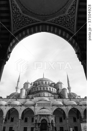 Black and white image Blue Mosque Istanbul, Turkey 37304928