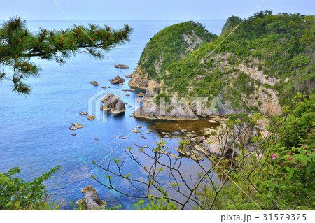 浦富海岸　山陰の松島　鴨ヶ磯 31579325