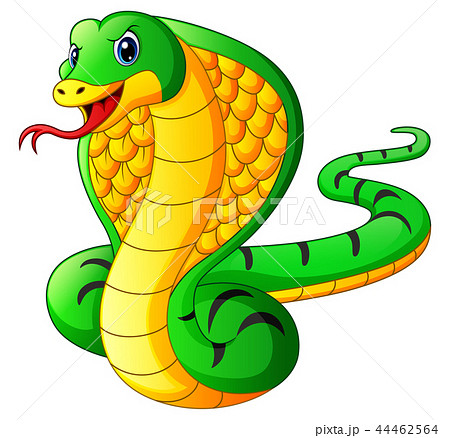 Vector illustration of Cobra snake cartoon 44462564