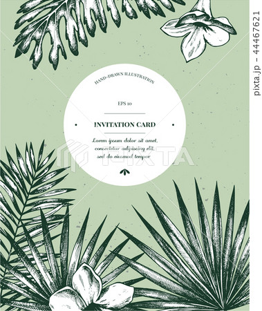 Invitation card design with exotic plants. Hand drawn highly detailed vector illustration 44467621