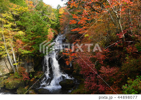 10月　日光122竜頭ノ滝･紅葉 44898077