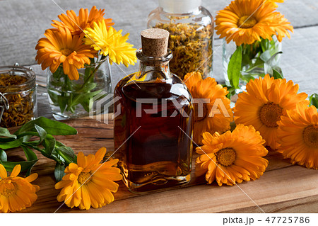 A bottle of calendula tincture and fresh flowers 47725786