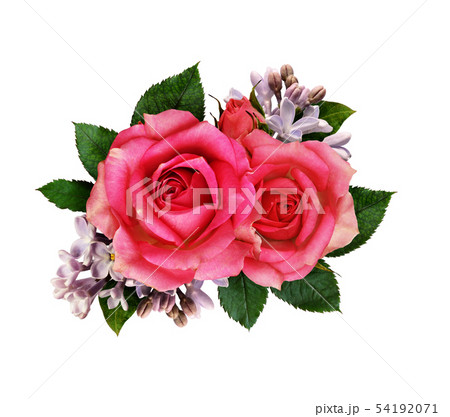 Pink rose and lilac flowers bouquet 54192071