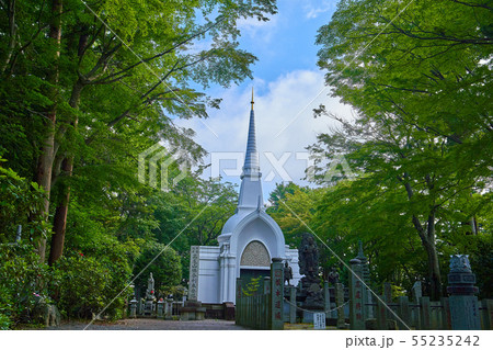 東京八王子市の新緑に包まれた高尾山 仏舎利塔 55235242