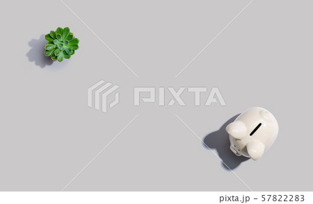 A white piggy bank overhead view 57822283