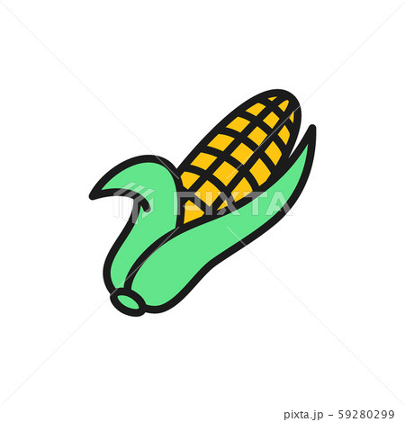 Ear of corn, corncob, vegetable flat color icon. 59280299