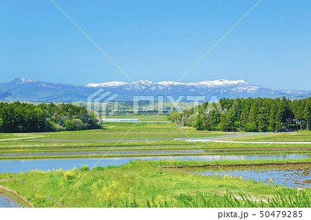 船形山　県立自然公園　舟形山 50479285