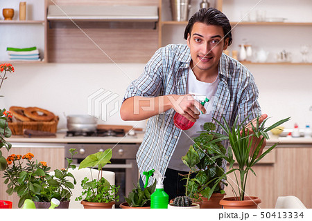 Young handsome man cultivating flowers at home 50413334