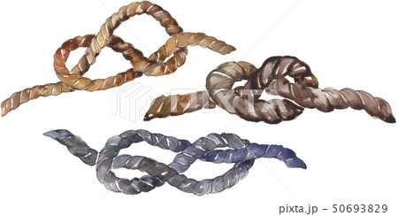 Set of sea rope nots. Watercolor background illustration set. Isolated sailing not illustration 50693829