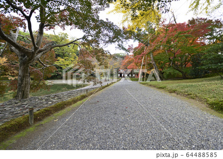 京都仙洞御所　南池　紅葉 64488585