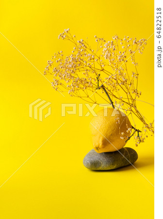 Ugly lemon fruit on yellow background 64822518