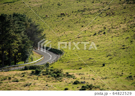 Green meadow with horses grazing. Empty countryside road turns to the left. Spain, Basque Country 64822529