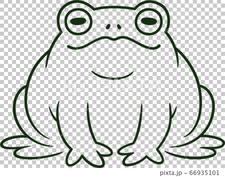 Cartoon toad drawing 66935101