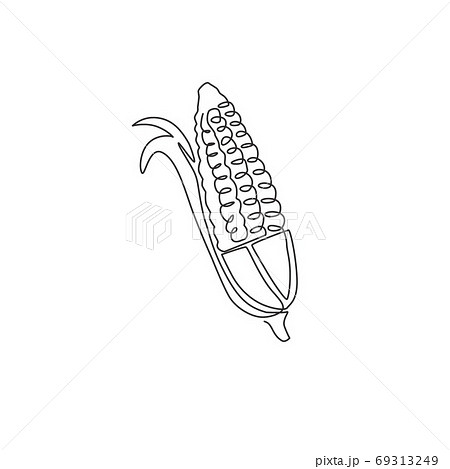 One single line drawing of whole healthy organic corn crop for farm logo identity 69313249