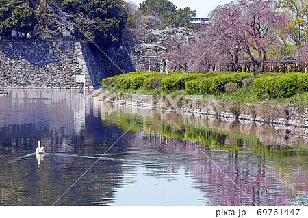 名古屋城点景 69761447