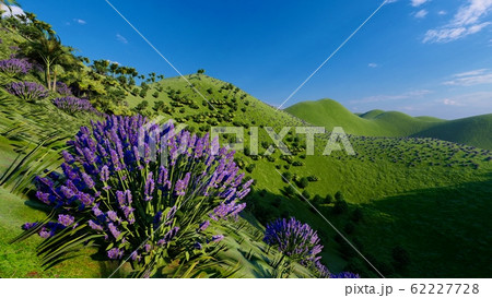 Jungle hills in Okinawa, Japan 3d rendering 62227728