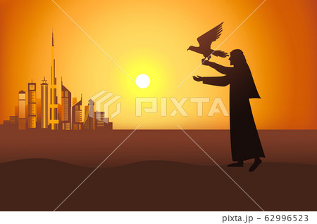 Falconer in the desert near Dubai city 62996523